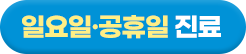 일요일, 공휴일 진료